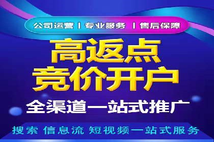 百度推广实战教程：多角度案例分析