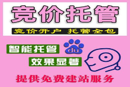 SEM推广代运营：成功案例解析与策略分享